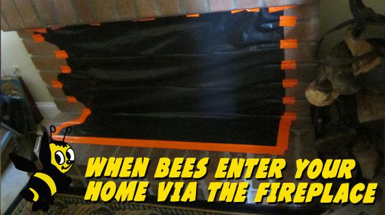 apa bee removal fireplace-bee-prevention.jpg