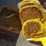 beehive-removal-576x1024