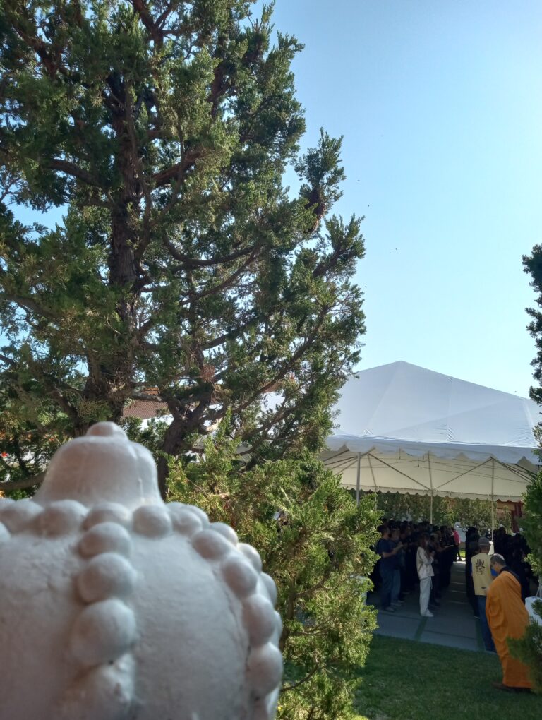Bee removal job in Hsi Lai Temple grounds in Hacienda Heights, CA